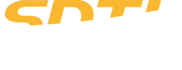 Logo Société Nationales des Transports et de Logistique (SNTL)